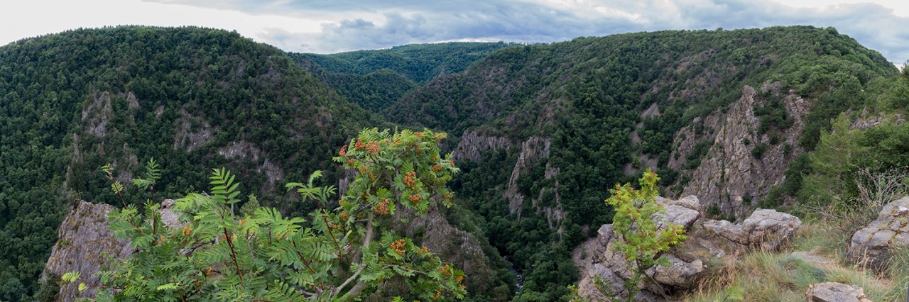 Auf dem Harzer-Hexen-Stieg